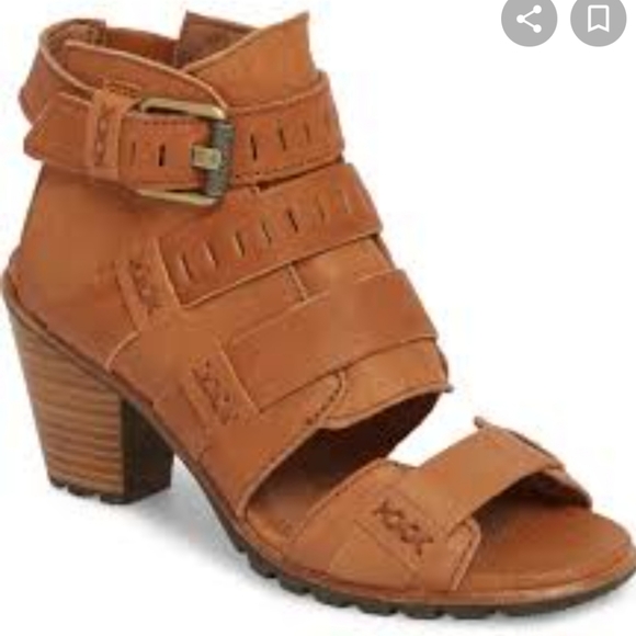 Sorel Shoes - Sorel Nadia Buckle Booties from Sundance Size 10